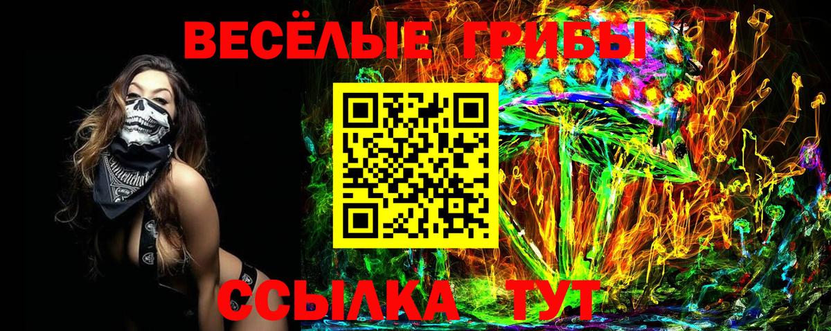 Псилоцибиновые грибы мицелий Фролово