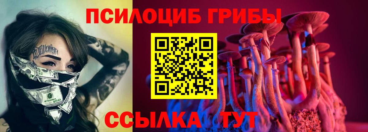 Фролово  Галлюциногенные грибы прущие грибы  Вход с VPN  Псилоцибиновые грибы GOLDEN TEACHER 